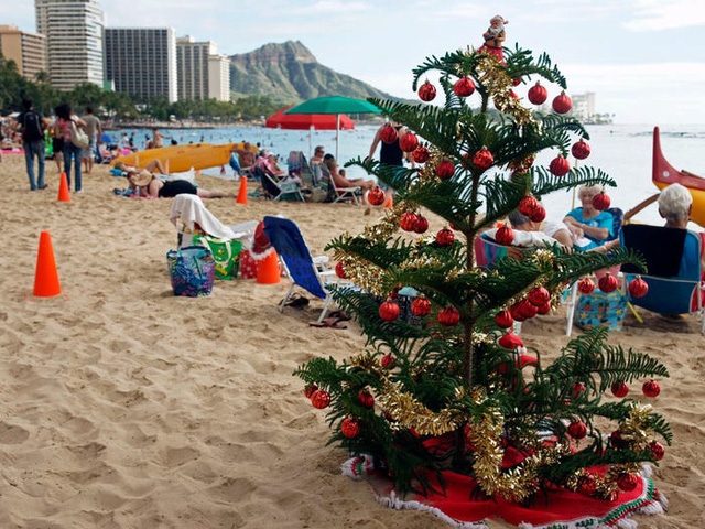 Nước Mỹ: ngắm Giáng sinh muôn màu muôn vẻ - Ảnh 11.