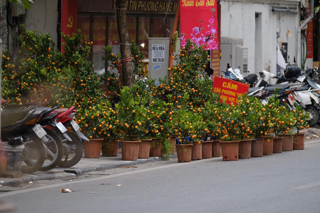 Hội chợ Tết Xuân Phố cổ 2021 sẽ bắt đầu vào cuối tuần này - Ảnh 3.