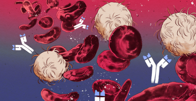 Vì sao phụ nữ dễ bị bệnh tự miễn hơn nam giới? - Ảnh 1.