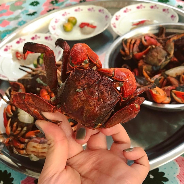 Ba khía – đặc sản dân dã của Cà Mau - Ảnh 4.