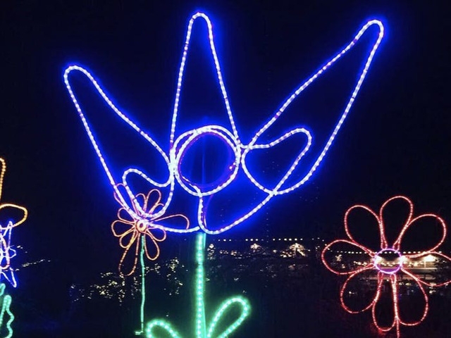 Nước Mỹ: ngắm Giáng sinh muôn màu muôn vẻ - Ảnh 16.