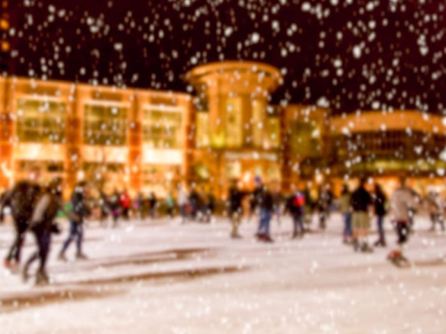 Nước Mỹ: ngắm Giáng sinh muôn màu muôn vẻ - Ảnh 17.