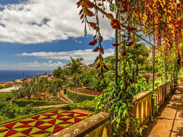 Quần đảo Madeira được vinh danh là điểm đến tốt nhất ở châu Âu  - Ảnh 18.
