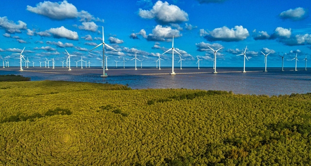 Cuộc thi và Triển lãm Ảnh nghệ thuật Việt Nam 2020 - Ảnh 4.