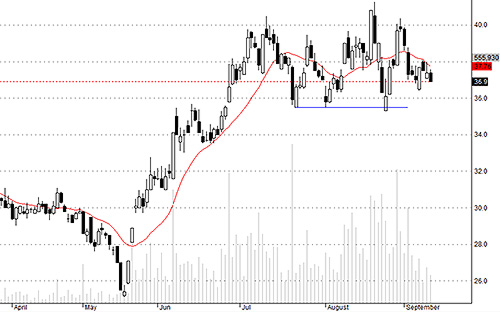 HCM không hút được tiền và hôm nay người bán có vẻ mất kiên nhẫn.