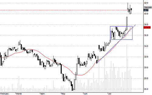 TCM tiêu biểu cho kiểu dao động chờ tin tức.<br>
