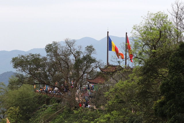 Yên Tử: mai vàng đã nở - Ảnh 9.