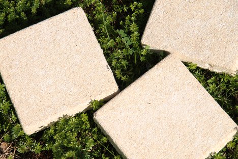 Từ nấm đến vật liệu xây dựng xanh - Ảnh 1.