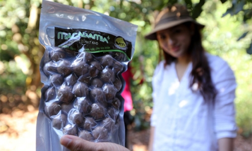 Một mắc-ca đang “xấu xí”: 20 năm, Bộ ở đâu?