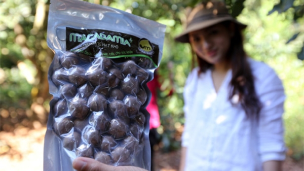 Một mắc-ca đang “xấu xí”: 20 năm, Bộ ở đâu?