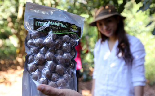 Một sản phẩm mắc-ca đã qua chế biến của Công ty Cổ phần Vinamacca tại Tây Nguyên.<br>