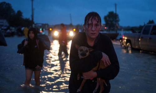 Kinh tế Mỹ có thể mất hàng chục tỷ USD vì siêu bão Harvey