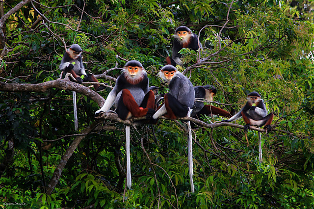 10 điểm đến tuyệt vời năm 2021 của Việt Nam theo CNN - Ảnh 7.