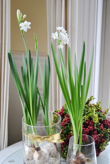 Tết này, bạn cắm hoa gì để mang lại may mắn, phúc lộc? - Ảnh 21.