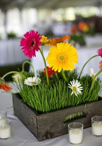 Tết này, bạn cắm hoa gì để mang lại may mắn, phúc lộc? - Ảnh 25.