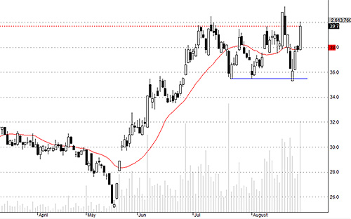 HCM hôm nay tăng khá tốt nhưng vẫn trì trệ hơn nhiều so với SSI.