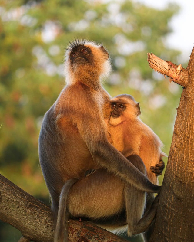 Những bức ảnh minh chứng sự ngoạn mục của thiên nhiên - Ảnh 21.