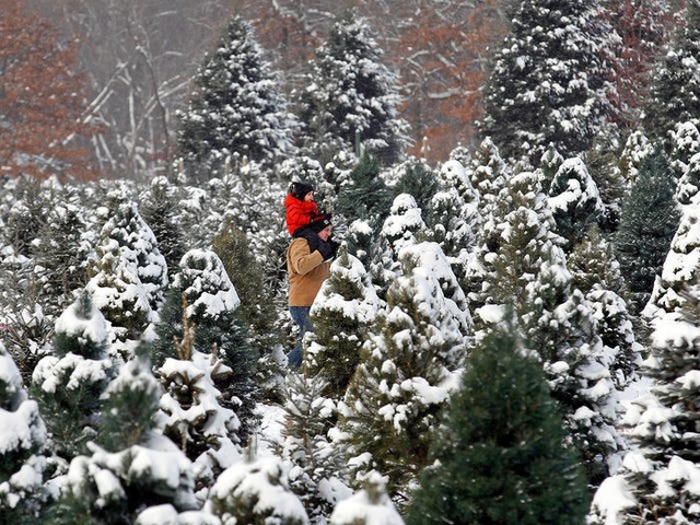Nước Mỹ: ngắm Giáng sinh muôn màu muôn vẻ - Ảnh 23.