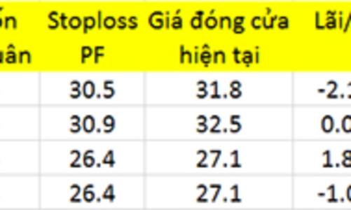 Blog chứng khoán: Ngân hàng có đủ dẫn sóng?