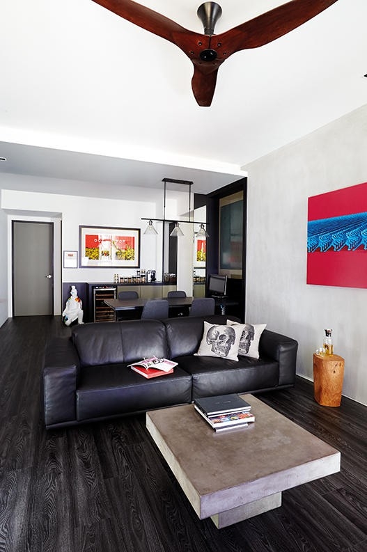 Căn hộ đen - trắng phong cách Scandinavia đặc trưng - Ảnh 3.