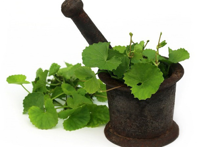 Tự làm mặt nạ trị mụn tại nhà - Ảnh 2.