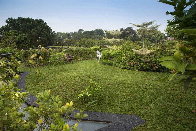 Chiêm ngưỡng biệt thự xanh đáng kinh ngạc ở Singapore - Ảnh 17.