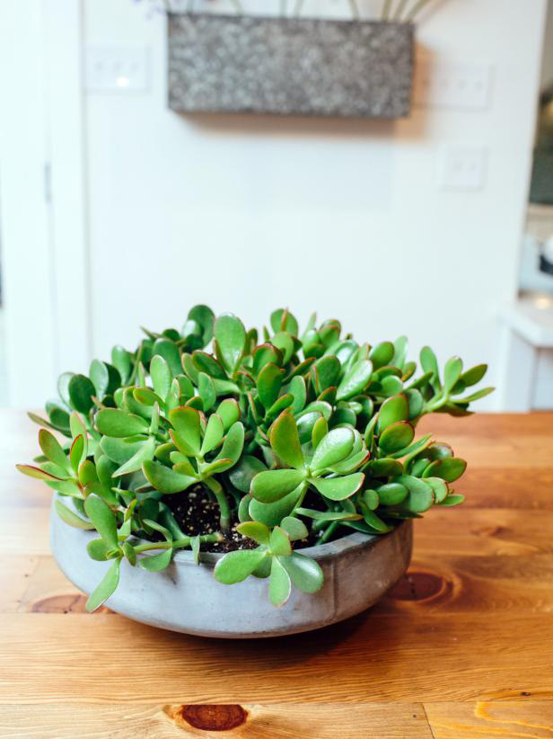 30 ý tưởng trang trí phòng ăn đẹp mắt - Ảnh 30.