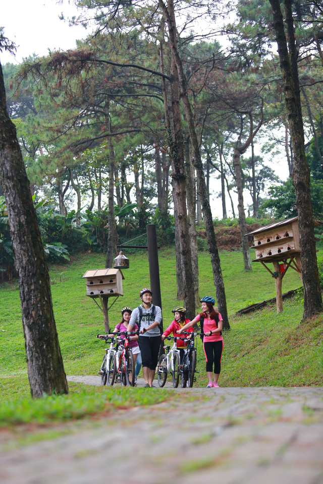 Ba Vì có khu resort mới để bạn đổi gió cuối tuần - Ảnh 1.