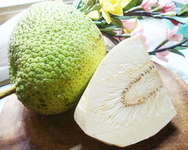 Những lợi ích sức khỏe tuyệt vời của cây sa kê - Ảnh 2.