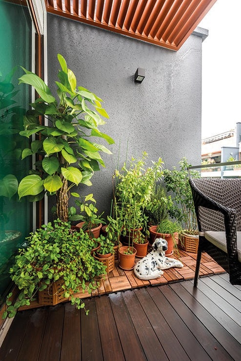 5 ban công đầy cây xanh đáng để tham khảo - Ảnh 4.