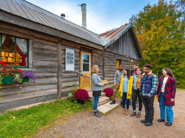 Ghé thăm một trang trại ở Canada để nếm thử xi-rô phong - Ảnh 3.