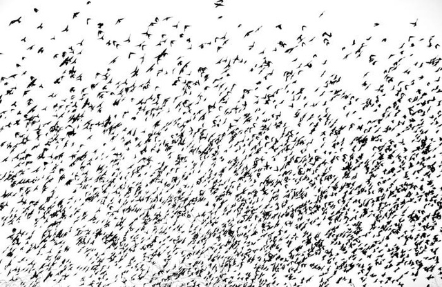 Những bức ảnh minh chứng sự ngoạn mục của thiên nhiên - Ảnh 41.