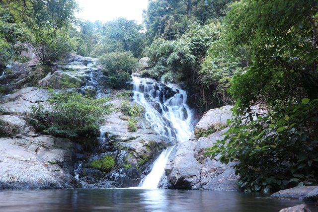 Đến Cam Ranh, nhưng để ngắm… rừng - Ảnh 3.