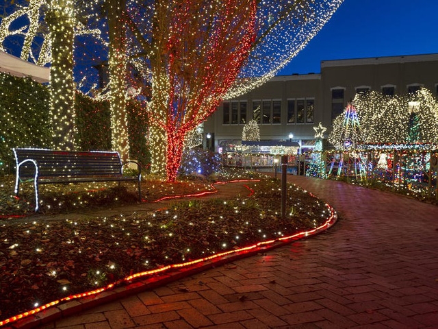 Nước Mỹ: ngắm Giáng sinh muôn màu muôn vẻ - Ảnh 4.