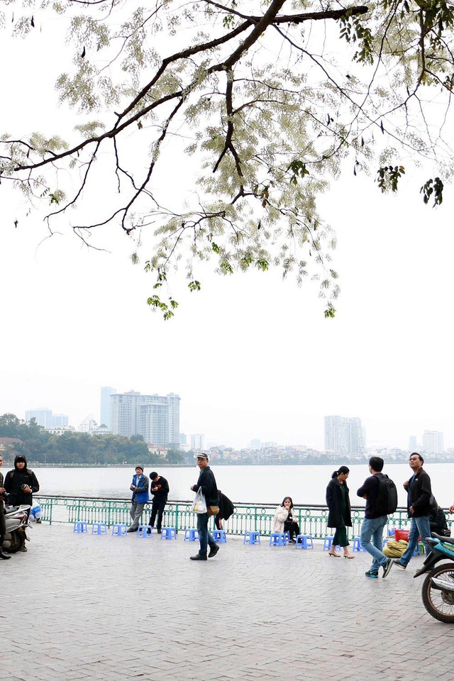 Hà Nội, lại một mùa hoa sưa - Ảnh 7.