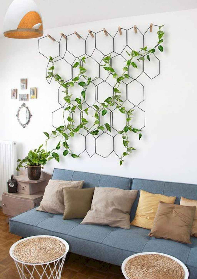 10 ý tưởng đưa cây vào trong nhà - Ảnh 5.
