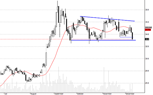 TCM là một trong những cổ phiếu đang tích lũy ổn định.