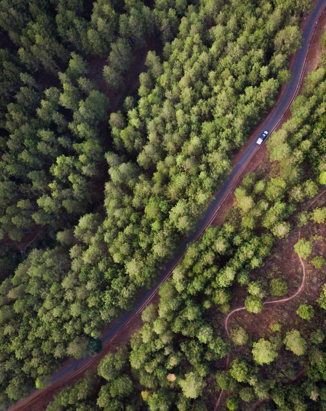 Những bức ảnh minh chứng sự ngoạn mục của thiên nhiên - Ảnh 5.