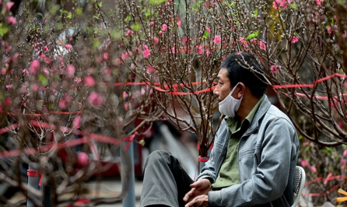 Quang cảnh vắng vẻ khác lạ của chợ hoa Hàng Lược ngày cận tết