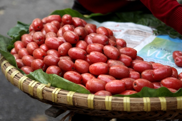 Nhộn nhịp những gánh hàng bán quả đặc sản - Ảnh 2.