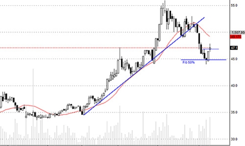 Blog chứng khoán: Bull-trap?