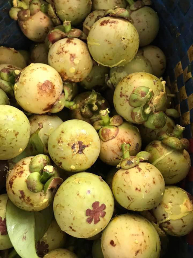 Về Bình Dương ăn gỏi gà măng cụt - Ảnh 5.