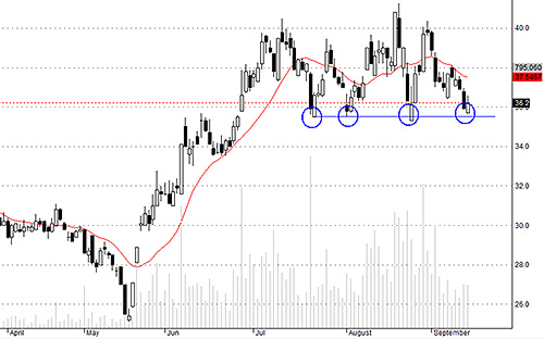 HCM có phản ứng khá tốt trong vùng hỗ trợ.