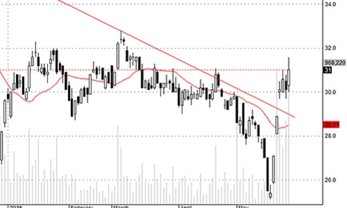 Blog chứng khoán: Cầu đỡ ổn
