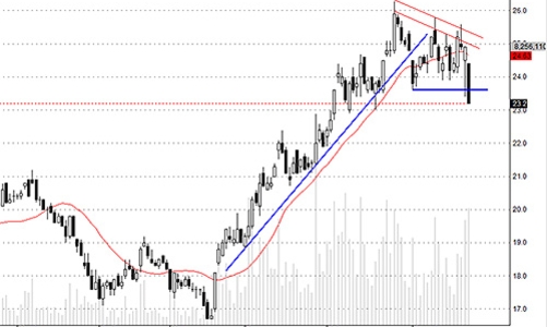 Blog chứng khoán: Chấp nhận sai lầm