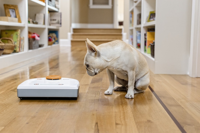 Sắm 1 em robot: 5 câu hỏi trước khi rút ví - Ảnh 1.