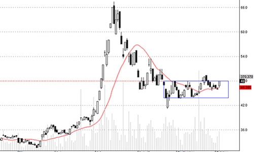 Blog chứng khoán: TPP có là ngòi nổ?