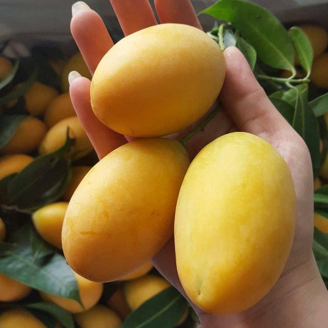 Nhộn nhịp những gánh hàng bán quả đặc sản - Ảnh 1.