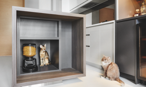 Căn hộ độc thân của anh chàng yêu mèo