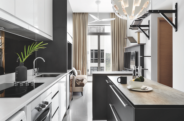 Căn hộ độc thân của anh chàng yêu mèo - Ảnh 2.